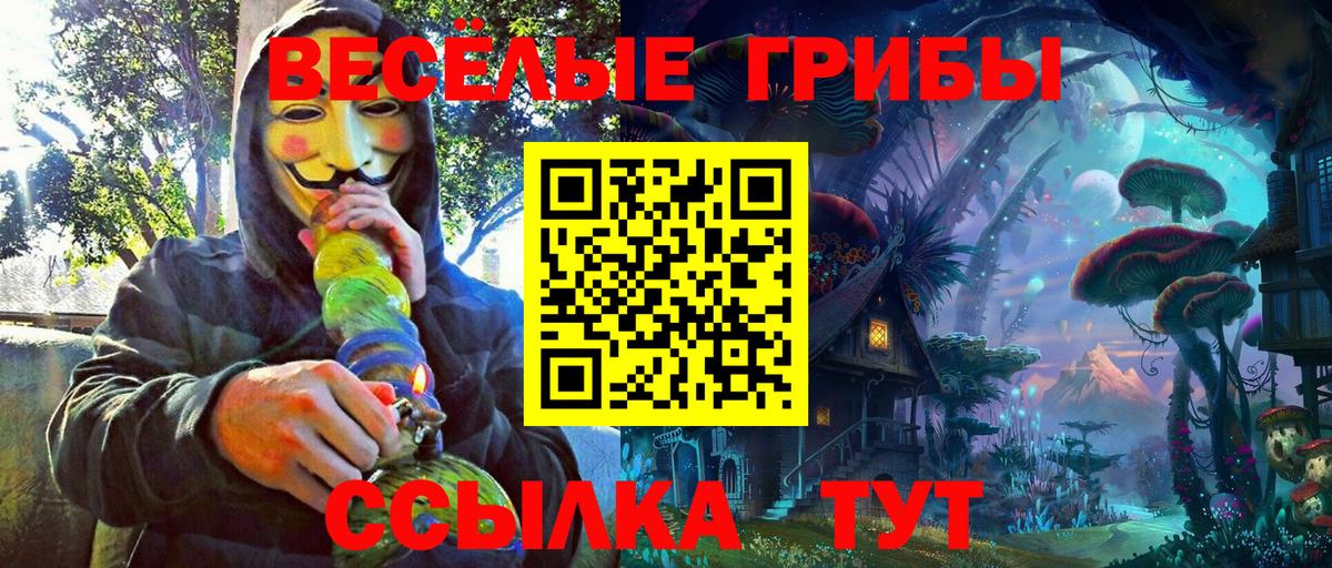 Псилоцибиновые грибы мицелий  Вход с VPN  Новый Уренгой 
