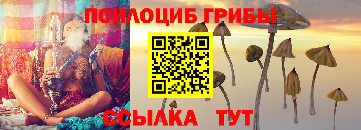 Псилоцибиновые грибы Psilocybe Новый Уренгой